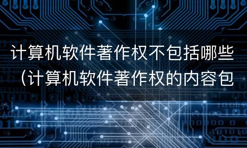 计算机软件著作权不包括哪些（计算机软件著作权的内容包括）