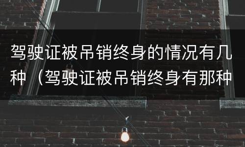 驾驶证被吊销终身的情况有几种（驾驶证被吊销终身有那种渠道可以办）