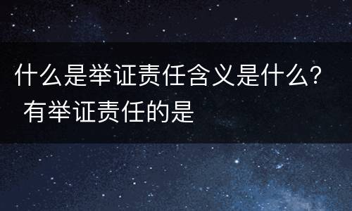 什么是举证责任含义是什么？ 有举证责任的是