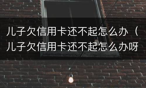 儿子欠信用卡还不起怎么办（儿子欠信用卡还不起怎么办呀）