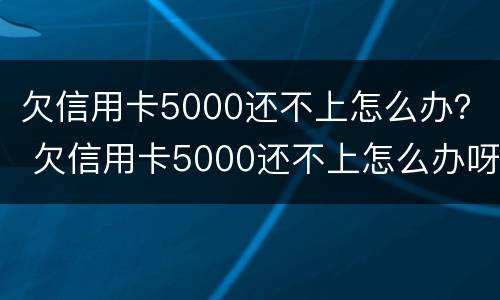 欠信用卡5000还不上怎么办？ 欠信用卡5000还不上怎么办呀