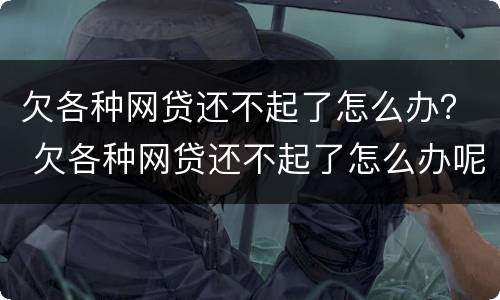 欠各种网贷还不起了怎么办？ 欠各种网贷还不起了怎么办呢