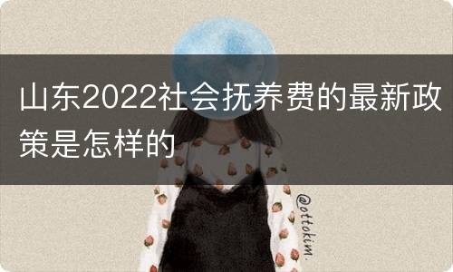 山东2022社会抚养费的最新政策是怎样的