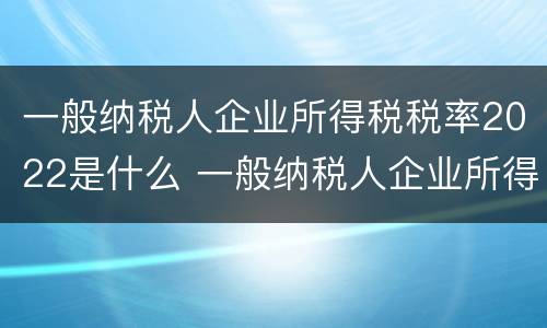 一般纳税人企业所得税税率2022是什么 一般纳税人企业所得税税率2022是什么意思