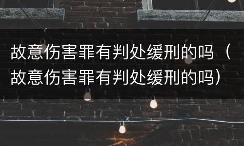 故意伤害罪有判处缓刑的吗（故意伤害罪有判处缓刑的吗）