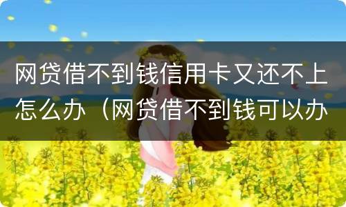 网贷借不到钱信用卡又还不上怎么办（网贷借不到钱可以办信用卡吗）