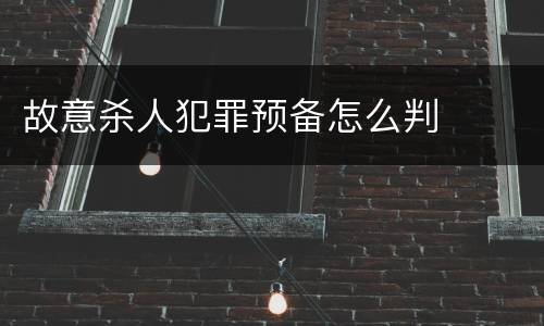 故意杀人犯罪预备怎么判