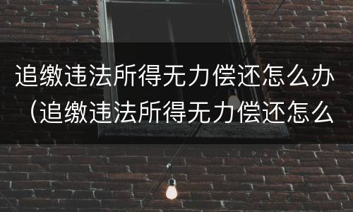 追缴违法所得无力偿还怎么办（追缴违法所得无力偿还怎么办）