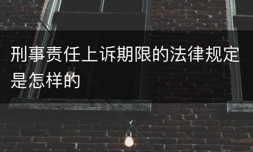 刑事责任上诉期限的法律规定是怎样的