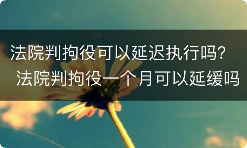 法院判拘役可以延迟执行吗？ 法院判拘役一个月可以延缓吗