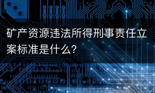 矿产资源违法所得刑事责任立案标准是什么？