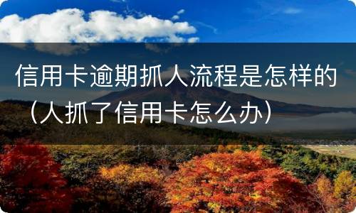 信用卡逾期抓人流程是怎样的（人抓了信用卡怎么办）