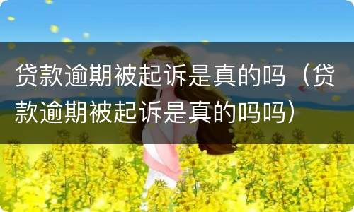 贷款逾期被起诉是真的吗（贷款逾期被起诉是真的吗吗）