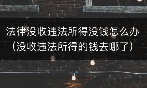 法律没收违法所得没钱怎么办（没收违法所得的钱去哪了）