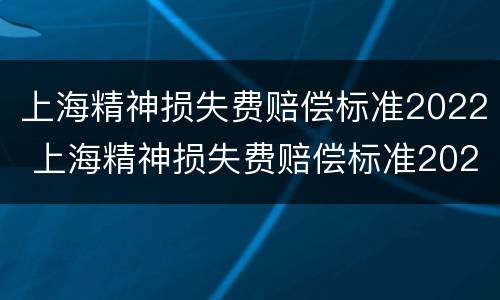 上海精神损失费赔偿标准2022 上海精神损失费赔偿标准2021