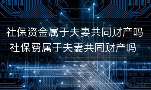 社保资金属于夫妻共同财产吗 社保费属于夫妻共同财产吗
