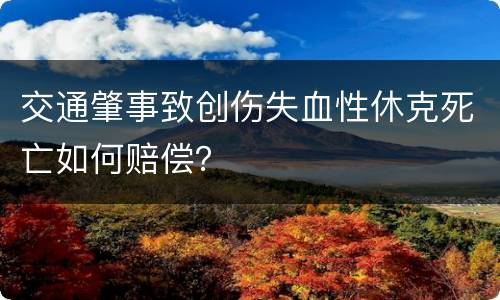 交通肇事致创伤失血性休克死亡如何赔偿？