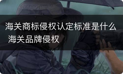 海关商标侵权认定标准是什么 海关品牌侵权