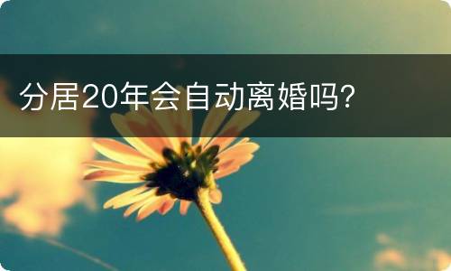 分居20年会自动离婚吗？