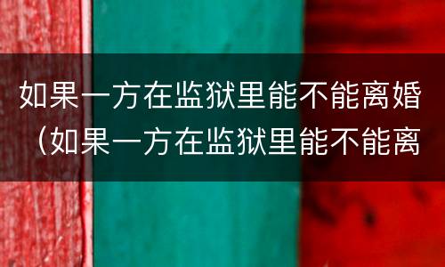 如果一方在监狱里能不能离婚（如果一方在监狱里能不能离婚呢）
