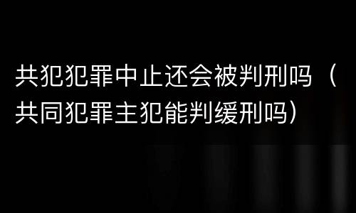 共犯犯罪中止还会被判刑吗（共同犯罪主犯能判缓刑吗）