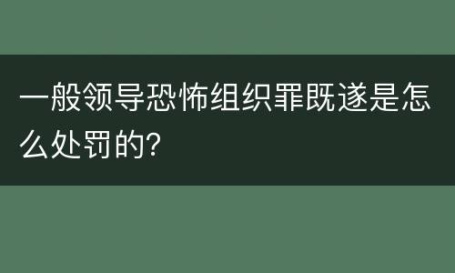一般领导恐怖组织罪既遂是怎么处罚的？