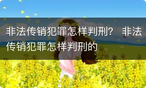 非法传销犯罪怎样判刑？ 非法传销犯罪怎样判刑的