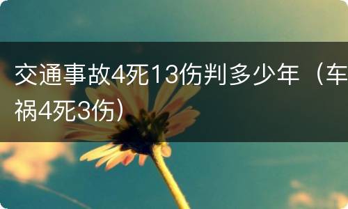交通事故4死13伤判多少年（车祸4死3伤）