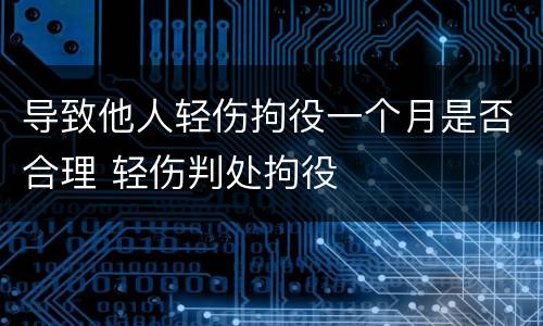 导致他人轻伤拘役一个月是否合理 轻伤判处拘役