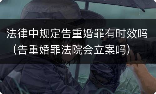 法律中规定告重婚罪有时效吗（告重婚罪法院会立案吗）