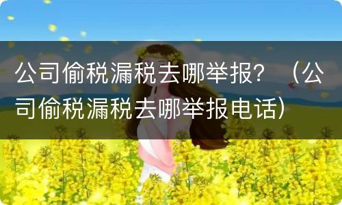 公司偷税漏税去哪举报？（公司偷税漏税去哪举报电话）