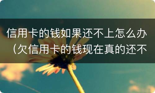 信用卡的钱如果还不上怎么办（欠信用卡的钱现在真的还不上怎么办）