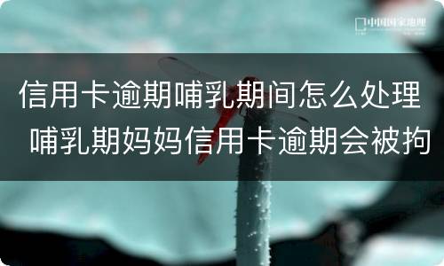 信用卡逾期哺乳期间怎么处理 哺乳期妈妈信用卡逾期会被拘留吗