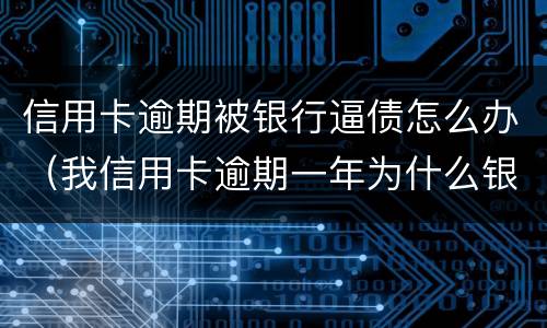 信用卡逾期被银行逼债怎么办（我信用卡逾期一年为什么银行没催我）