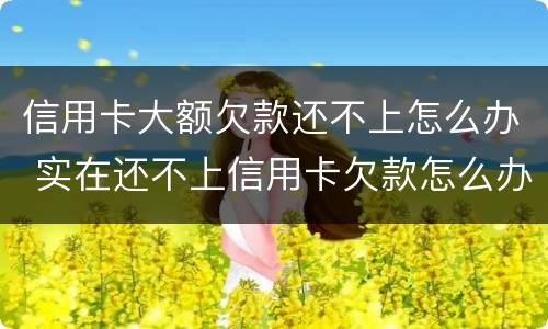 信用卡大额欠款还不上怎么办 实在还不上信用卡欠款怎么办