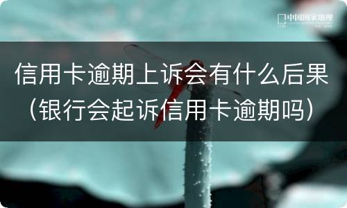 信用卡逾期上诉会有什么后果（银行会起诉信用卡逾期吗）