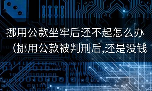 挪用公款坐牢后还不起怎么办（挪用公款被判刑后,还是没钱还,怎么办）