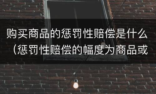 购买商品的惩罚性赔偿是什么（惩罚性赔偿的幅度为商品或服务价款的）