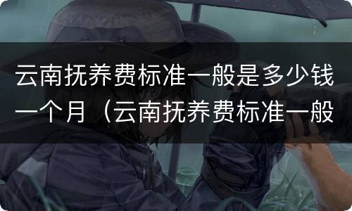 云南抚养费标准一般是多少钱一个月（云南抚养费标准一般是多少钱一个月啊）