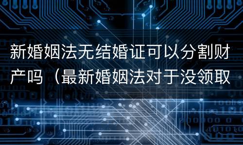 新婚姻法无结婚证可以分割财产吗（最新婚姻法对于没领取结婚证财产分割）