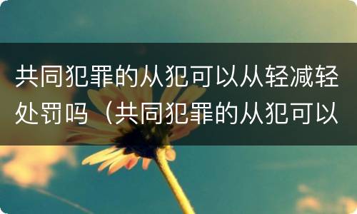 共同犯罪的从犯可以从轻减轻处罚吗（共同犯罪的从犯可以从轻减轻处罚吗判几年）