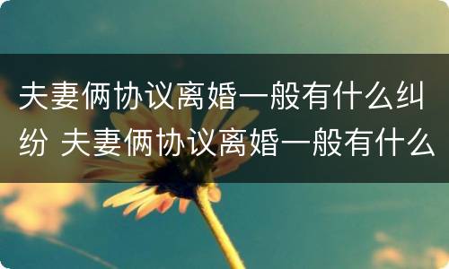 夫妻俩协议离婚一般有什么纠纷 夫妻俩协议离婚一般有什么纠纷呢