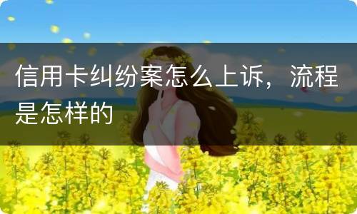 信用卡纠纷案怎么上诉，流程是怎样的