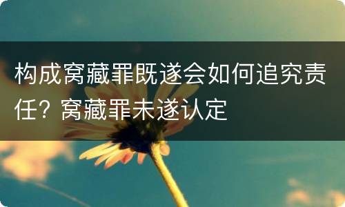 构成窝藏罪既遂会如何追究责任? 窝藏罪未遂认定