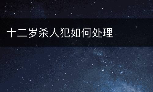 十二岁杀人犯如何处理