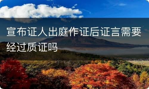 宣布证人出庭作证后证言需要经过质证吗