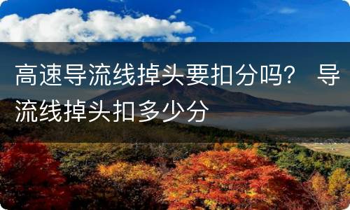 高速导流线掉头要扣分吗？ 导流线掉头扣多少分