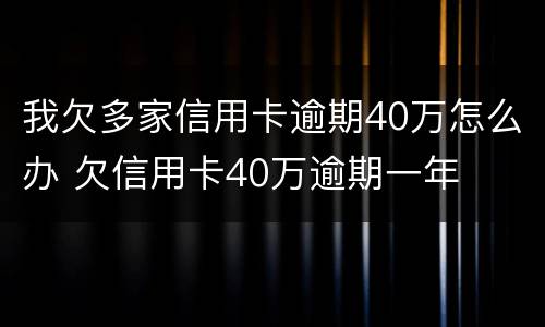 我欠多家信用卡逾期40万怎么办 欠信用卡40万逾期一年