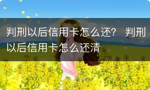 判刑以后信用卡怎么还？ 判刑以后信用卡怎么还清