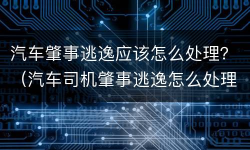 汽车肇事逃逸应该怎么处理？（汽车司机肇事逃逸怎么处理）